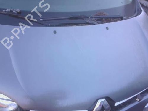 Used Hood Hood RENAULT TWINGO III (BCM_, BCA_) 1.0 SCe 70 (BCMB) (69 hp) 31170606 31170606