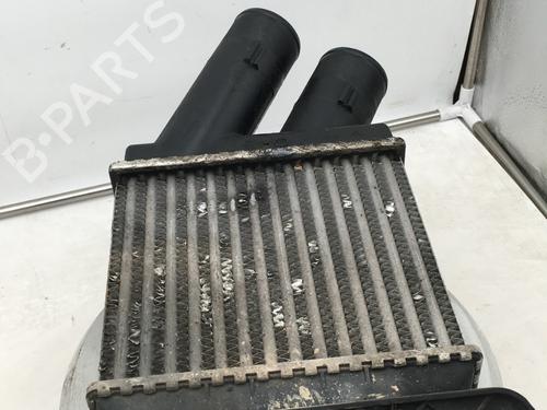 Used Intercooler RENAULT SCÉNIC I MPV (JA0/1_, FA0_) 1.9 dTi (JA0N) (98 hp) 27258067