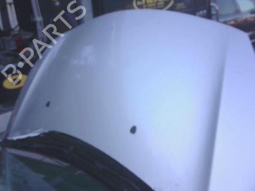 Used Hood CITROËN C3 II (SC_) 1.6 BlueHDi 100 (99 hp) 30779344