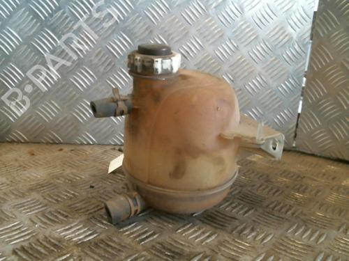 Used Expansion tank RENAULT CLIO II (BB_, CB_) 1.4 (B/CB0C, B/CB0S) (75 hp) 21000524