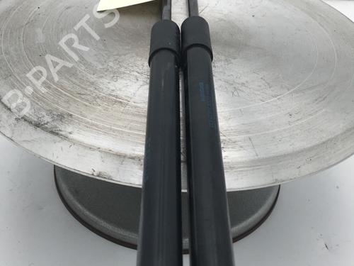 tailgate-lift-support-dacia-sandero-iii-2021-30444113 main image