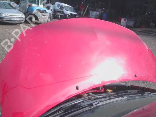 Motorhjelm RENAULT TWINGO II (CN0_) 1.2 16V (CN04, CN0B) (75 hp) 32981945