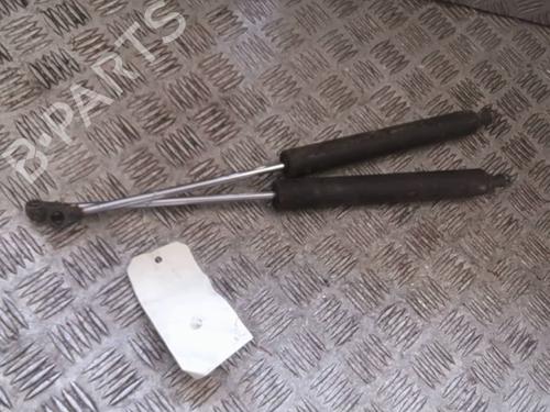 tailgate-lift-support-renault-vel-satis-bj0_-2002-28568120 main image