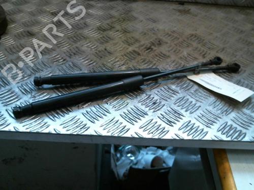 Used Tailgate lift support RENAULT TWINGO II (CN0_) 1.2 16V (CN04, CN0B) (75 hp) 30680205