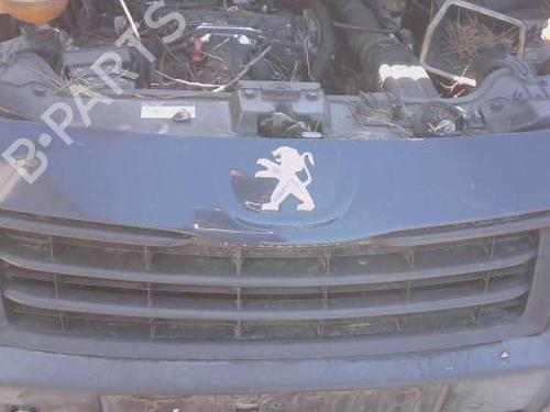 Grill Grill PEUGEOT EXPERT Van (VF3A_, VF3U_, VF3X_) 2.0 HDi 130 (128 hp) 37037093 37037093