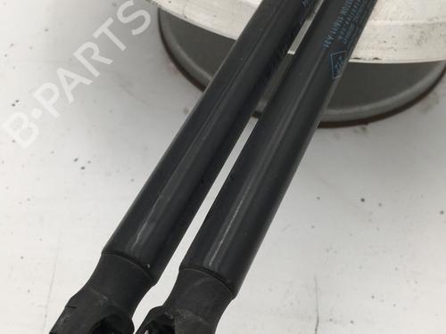 Tailgate lift support DACIA SANDERO 1.5 dCi | BP29448214C138