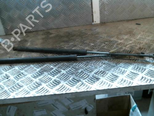 Used Tailgate lift support PEUGEOT 206 SW (2E/K) 1.4 HDi (68 hp) 20989114