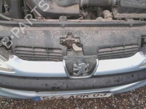 Used Grille PEUGEOT 206 CC (2D) 2.0 S16 (136 hp) 29845547