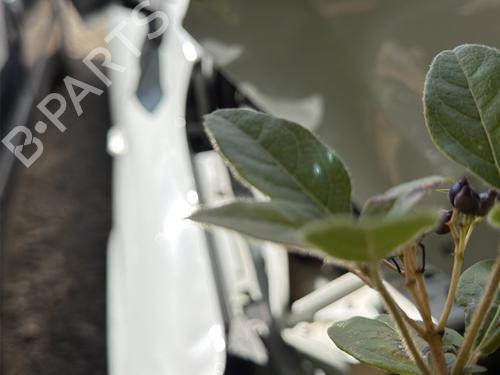 Warning switch DACIA JOGGER (RK_) 1.0 TCe 100 ECO-G (RKMT) | BP33213676I22  - Image 7