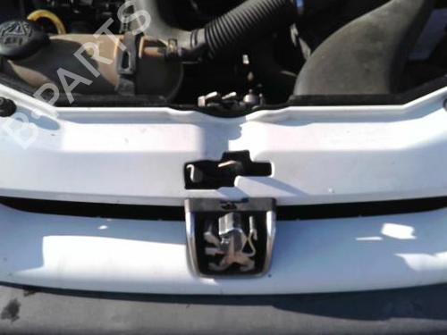 Used Grille PEUGEOT PARTNER Box Body/MPV (5_, G_) 1.9 D (69 hp) 26947406