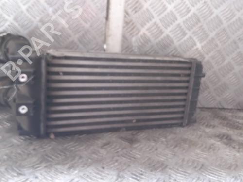 Intercooler CITROËN DS4 (NX_) 1.6 HDi 110 | BP23802493M30 - Image 4