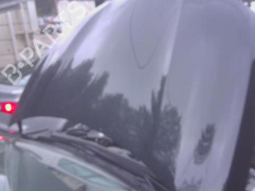 Capot RENAULT CAPTUR II (HF_) TCe 100 (HFMT) (101 hp) 30938309