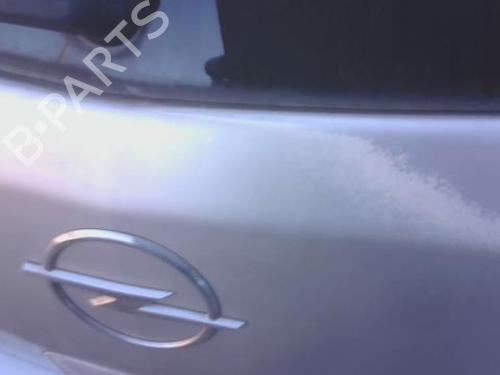 Tailgate OPEL CORSA D (S07) 1.4 (L08, L68) | BP29889025C6