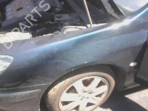 guarda-lamas-esquerdo-peugeot-607-9d-9u-2000-36397182 main image