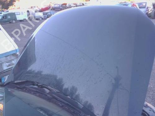 Used Hood VW POLO V (6R1, 6C1) 1.6 TDI (90 hp) 30779437