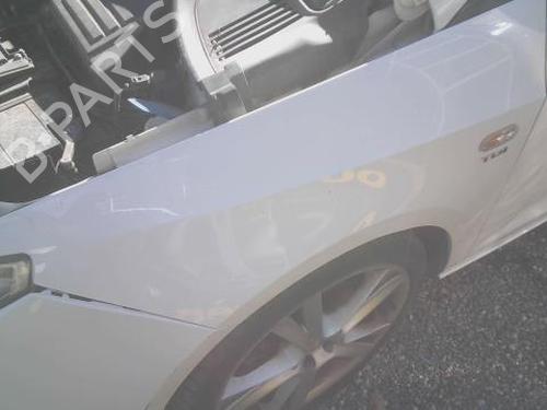 Used Left front fenders SEAT IBIZA IV (6J5, 6P1) 1.6 TDI (105 hp) 29117067