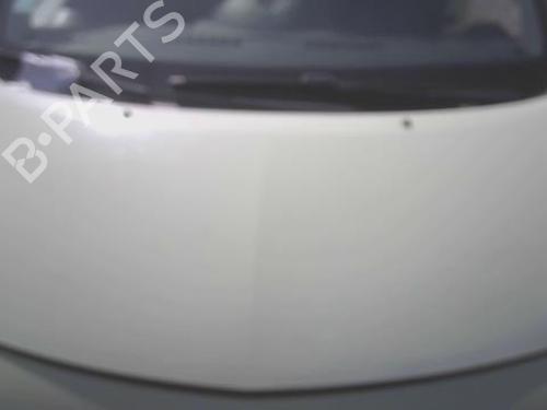 Used Hood RENAULT TWINGO II (CN0_) 1.2 16V (CN04, CN0B) (75 hp) 28949436