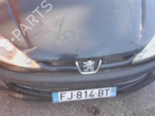 Used Grille PEUGEOT 206 Hatchback (2A/C) 1.4 i (75 hp) 29009312