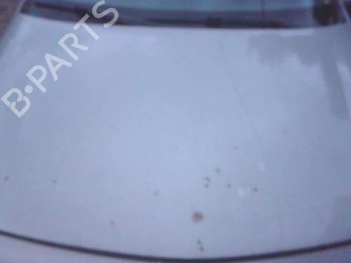 Capot RENAULT LAGUNA II (BG0/1_) 1.9 dCi (BG1A, BG1W, BG0G) (110 hp) 30941854