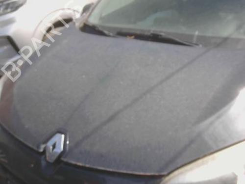 hood-renault-megane-iii-hatchback-bz01_-b3_-2008-39037646 main image