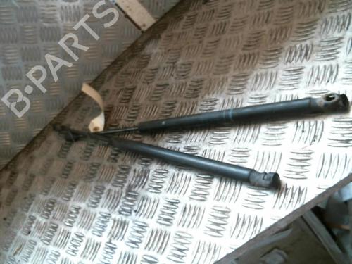 Used Tailgate lift support RENAULT SCÉNIC II (JM0/1_) 1.5 dCi (JM1E, JM16) (106 hp) 20996412