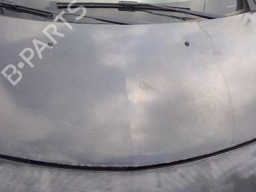 Used Hood RENAULT CLIO III (BR0/1, CR0/1) 1.6 16V (BR05, BR0B, BR0Y, BR15, BR1J, BR1M, BR1Y, CR0B,... (112 hp) 26453755