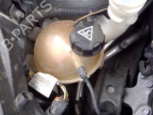 Expansion tank PEUGEOT 208 I (CA_, CC_) 1.6 GTi 9800777280