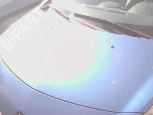 Used Hood RENAULT CLIO III (BR0/1, CR0/1) 1.4 16V (98 hp) 27890040