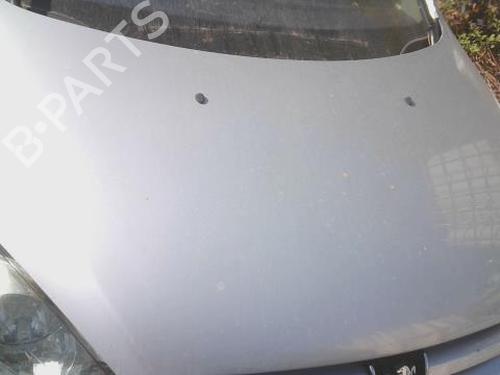 hood-peugeot-307-3ac-2000-2001-2002-2003-2004-2005-2006-2007-2008-2009-2010-2011-2012-38424843 main image