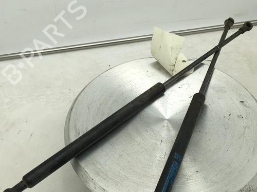 tailgate-lift-support-fiat-panda-169_-2003-27732563 main image