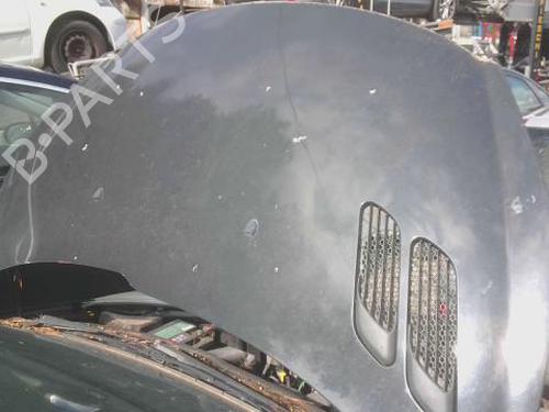 hood-peugeot-206-2l_-2m_-2009-2010-2011-2012-2013-32985020 main image