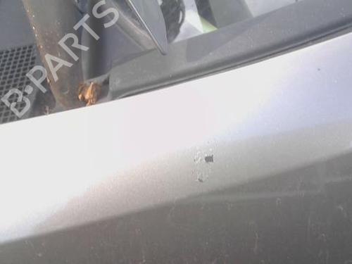 Left front fenders RENAULT CLIO III (BR0/1, CR0/1) 1.5 dCi (C/BR0G, C/BR1G) | BP29889204C41