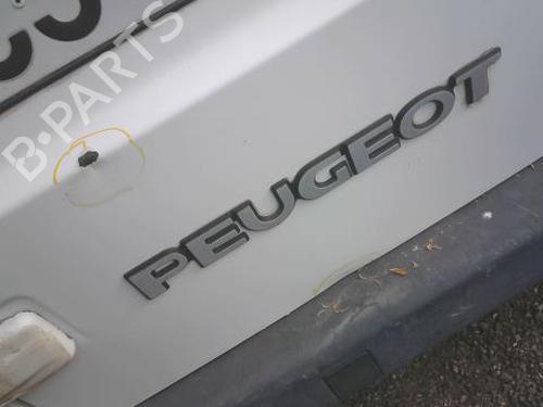 Left tailgate PEUGEOT EXPERT Van (222) 2.0 HDI | BP28053666C76 