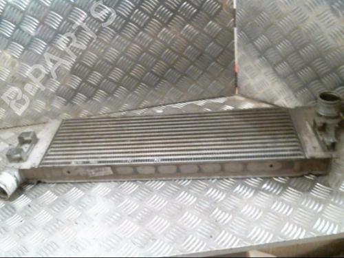 Used Intercooler RENAULT MEGANE II (BM0/1_, CM0/1_) 1.9 dCi (BM0G, CM0G) (120 hp) 21001161