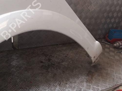 Left front fenders CITROËN C3 I (FC_, FN_) 1.4 HDi | BP24113160C41 