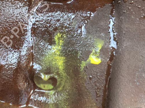 Engine RENAULT KANGOO Express (FC0/1_) 1.5 dCi (FC07, FC1R) | BP29005280M1 