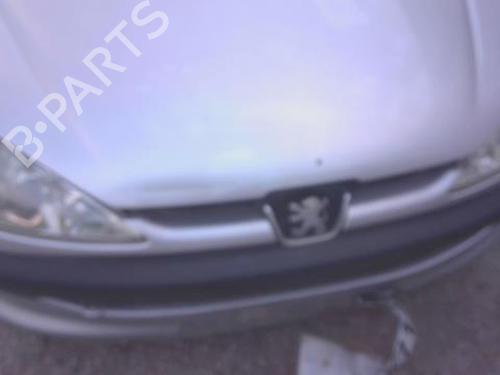 Calandre PEUGEOT 206 Hatchback (2A/C) 2.0 HDI 90 (90 hp) 31287016