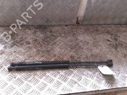 Used Tailgate lift support LANCIA MUSA (350_) 1.3 D Multijet (350.AXG11, 350.AXG1A) (90 hp) 24951487
