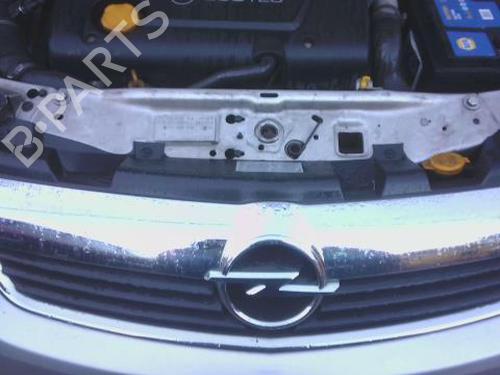 Used Grille OPEL ZAFIRA / ZAFIRA FAMILY B (A05) 1.9 CDTI (M75) (120 hp) 31183722