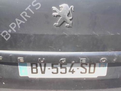 tailgate-handle-peugeot-partner-tepee-2008-38112193 main image