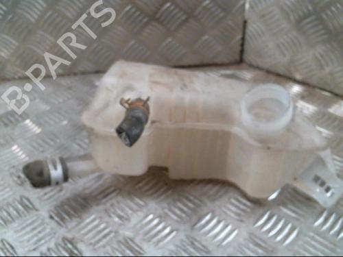 Used Expansion tank RENAULT SCÉNIC II (JM0/1_) 1.5 dCi (JM1E, JM16) (106 hp) 20995508