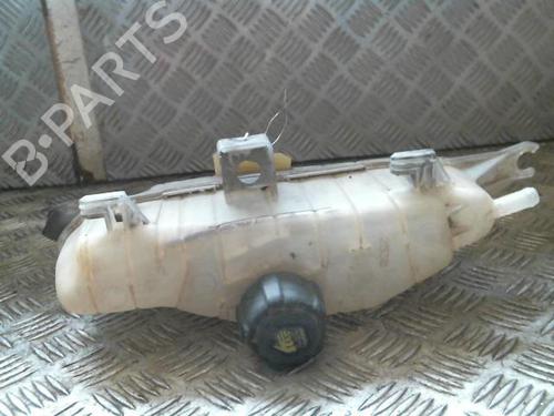 Used Expansion tank RENAULT CLIO III (BR0/1, CR0/1) 1.5 dCi (C/BR0G, C/BR1G) (68 hp) 20998053