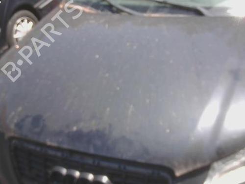 hood-audi-a3-convertible-8p7-2008-2009-2010-2011-2012-2013-36397266 main image