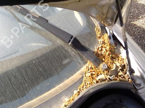 Used Front windshield wiper arm PEUGEOT 206 CC (2D) 2.0 S16 (136 hp) 26000225