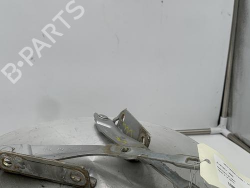 hingedoor-check-strap-dacia-sandero-ii-2012-28622401 main image