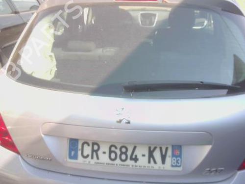 Used Tailgate PEUGEOT 207 (WA_, WC_) 1.4 HDi (68 hp) 28071539