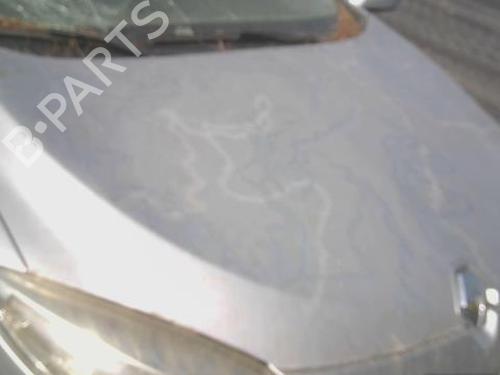 Capot Capot RENAULT MEGANE III Hatchback (BZ0/1_, B3_) [2008-2026] 34141298 34141298