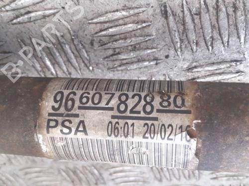 Used Right front driveshaft Right front driveshaft PEUGEOT PARTNER Box Body/MPV 1.6 HDi (90 hp) 28422507 28422507