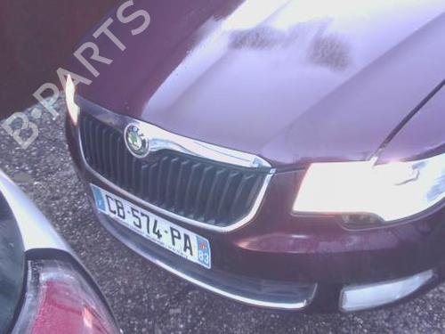 Used Parts SKODA SUPERB II (3T4) 2.0 TDI (140 hp) 4374234