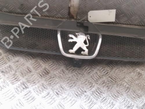 Grille PEUGEOT 406 (8B) 2.0 HDI 110 | BP27495383C40 